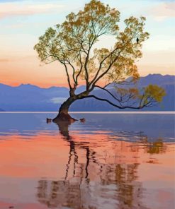 Sunrise In Lake Wanaka Paint By Numbers