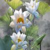 The White Lotus Flowers Paint By Numbers