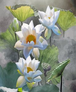 The White Lotus Flowers Paint By Numbers