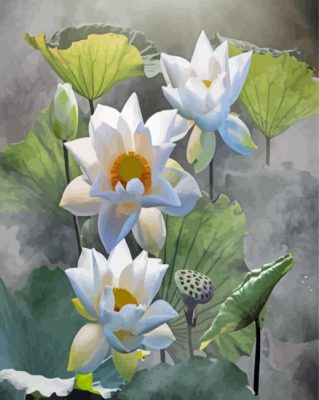 The White Lotus Flowers Paint By Numbers