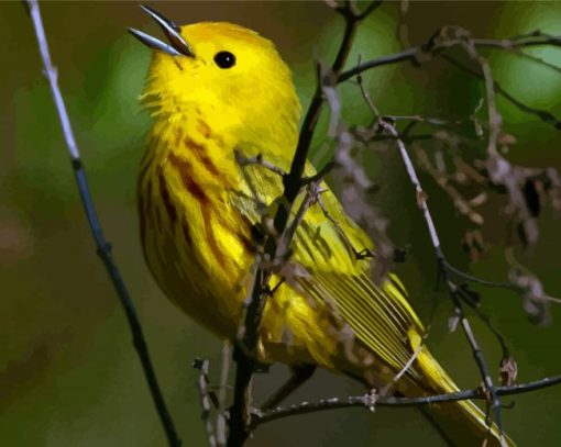 The Yellow Warbler Bird Paint By Numbers