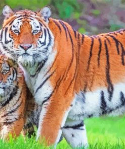 Tiger And Cub Paint By Numbers