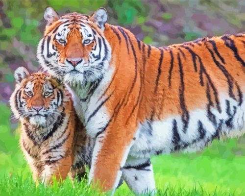 Tiger And Cub Paint By Numbers