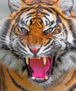 Tiger Roaring Animal Paint By Numbers