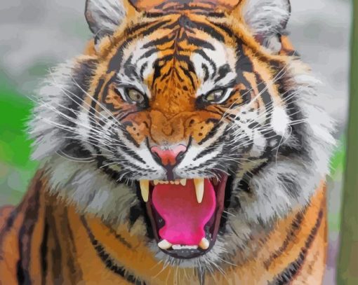 Tiger Roaring Animal Paint By Numbers