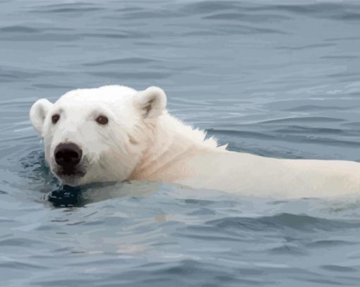 White Polar Bear In Water Paint By Numbers