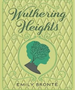 Wuthering Heights Emily Bronte Poster Paint By Numbers