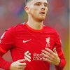 Aesthetic Andrew Robertson Paint By Numbers