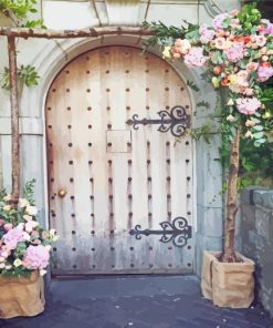 Aesthetic Doorway With Flowers Paint By Numbers