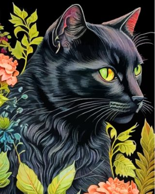 Black Floral Cat Paint By Numbers