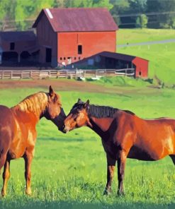 Brown Horses In Farm Paint By Numbers