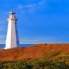Cape Spear Canada Paint By Numbers