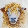 Curly Sheep Animal Paint By Numbers