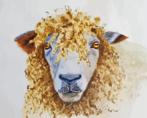 Curly Sheep Animal Paint By Numbers