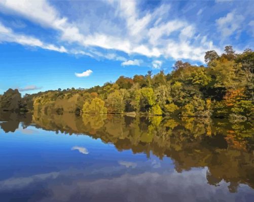 England River Trees Paint By Numbers