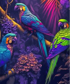 Exotic African Parrots Paint By Numbers