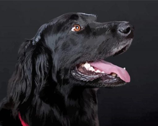 Flat Coated Retriever Head Paint By Numbers