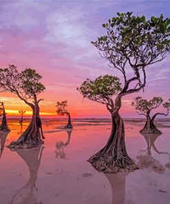 Mangrove Trees Sunset Scene Paint By Numbers