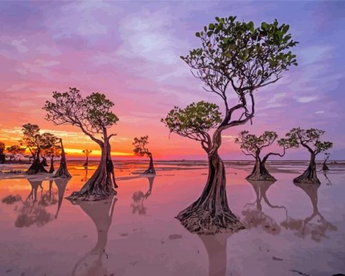 Mangrove Trees Sunset Scene Paint By Numbers