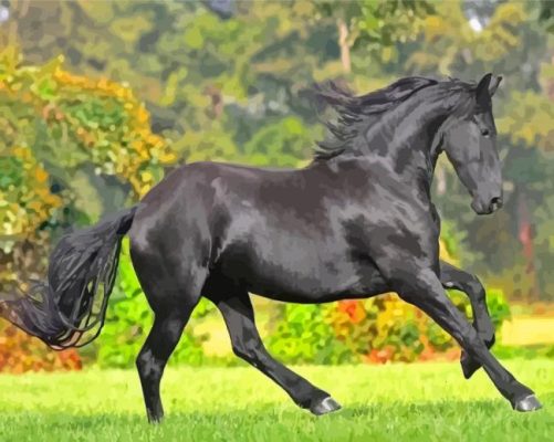 The Black Stallion Paint By Numbers