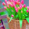 Pink Basket Of Tulip Paint By Numbers