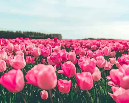 Pink Tulips Flowers In Field Paint By Numbers