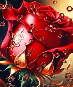 Red Rose Paint By Numbers