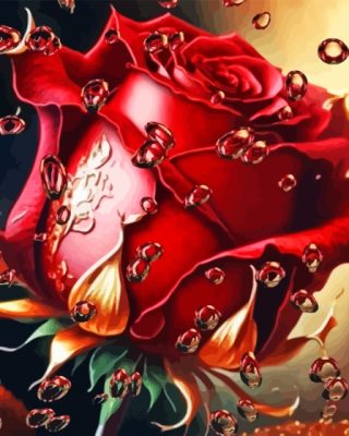 Red Rose Paint By Numbers