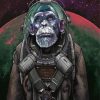 Space Astronaut Chimp Paint By Numbers