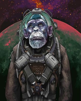 Space Astronaut Chimp Paint By Numbers