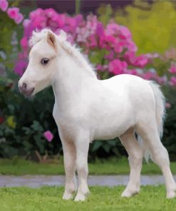 White Mini Horse Paint By Numbers