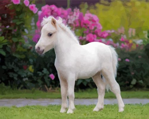 White Mini Horse Paint By Numbers