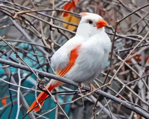 Aesthetic White Cardinal Paint By Numbers