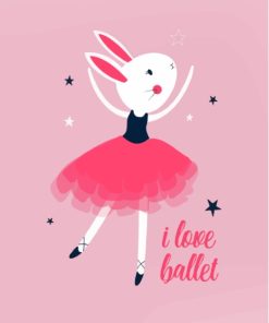 Ballerina Bunny Paint By Numbers