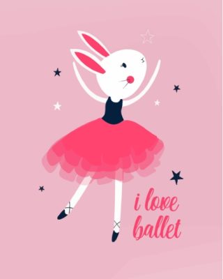 Ballerina Bunny Paint By Numbers