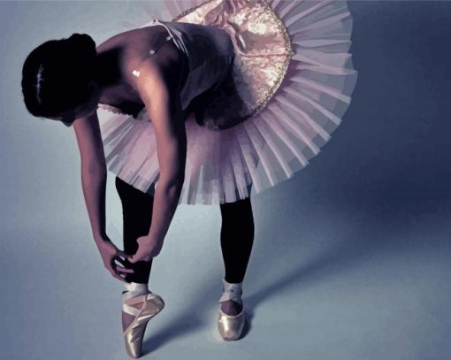 Ballerina Putting On Shoe Paint By Numbers