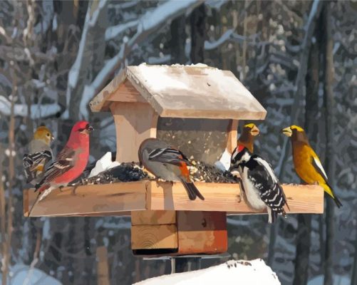 Birds At Bird Feeder Paint By Numbers