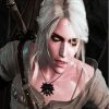 Cirilla The Witcher Paint By Numbers
