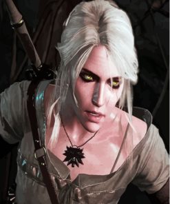 Cirilla The Witcher Paint By Numbers