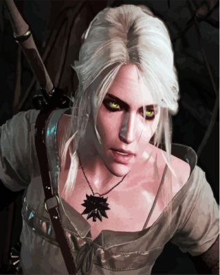 Cirilla The Witcher Paint By Numbers