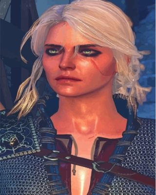 Cirilla Witcher Serie Character Paint By Numbers