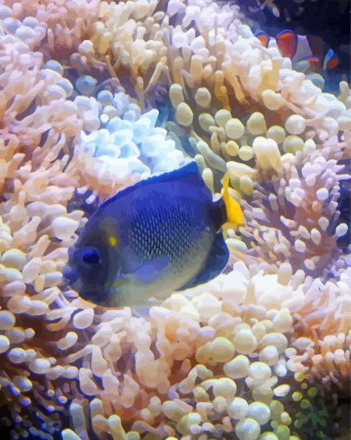 Cream Angelfish With Corals Paint By Numbers