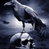 Creepy Crow And Skull Paint By Numbers