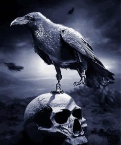 Creepy Crow And Skull Paint By Numbers