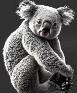 Black And White Koala Paint By Numbers