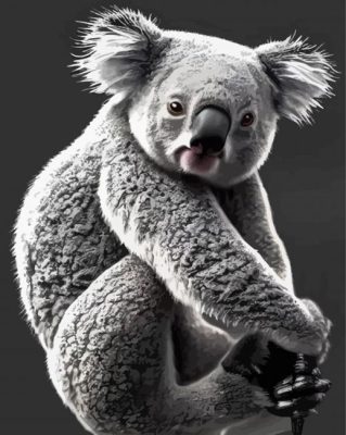 Black And White Koala Paint By Numbers