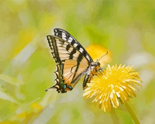 Dandelion Butterfly Paint By Numbers