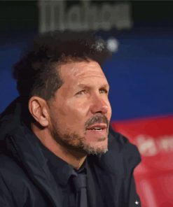 Diego Simeone Paint By Numbers