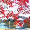 Fall Leaves Kintai Bridge Japan Paint By Numbers