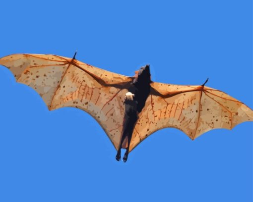 Flying Giant Golden Crowned Flying Fox Paint By Numbers